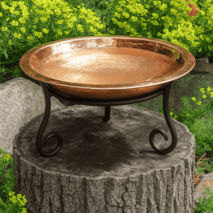 Bird Bath 14