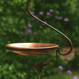Bird Bath 23