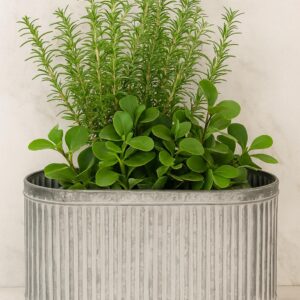 Planter 6