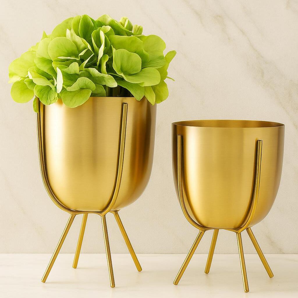 Planter for Home Page